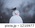 やまがら