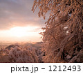1212493