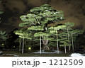 1212509