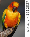 1212827