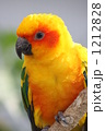 1212828