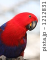 1212831
