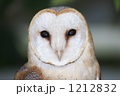 1212832
