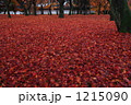 1215090