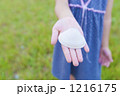 1216175