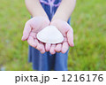 1216176