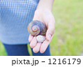 1216179
