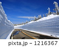 八幡平の雪の回廊