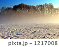 雪の日の公園の朝