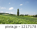 1217178