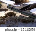 1218259