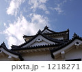 1218271