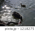 1218275