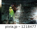 1218477