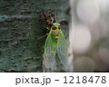 1218478