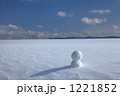 雪原の雪だるま