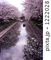 花曇り、川に映る満開桜