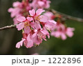 1222896