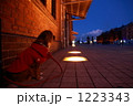 1223343
