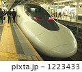 赤目のひかりレールスター