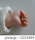 1223469