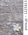 1225813