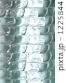 1225844