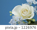 白薔薇とライトブルーのデルフィニウム