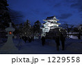 弘前城雪燈籠まつり