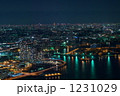 1231029
