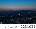 1231031