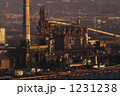 1231238