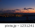 1231241