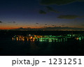1231251