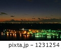1231254