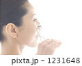 1231648