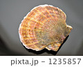 冬の味覚のホタテ。