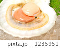 冬の味覚のホタテ。