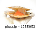 冬の味覚のホタテ。