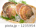 冬の味覚のホタテ。
