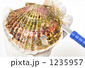 冬の味覚のホタテ。