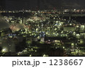 1238667