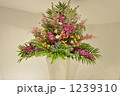 白い花瓶の花（横）