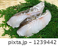 タラ