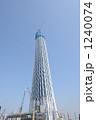 1240074
