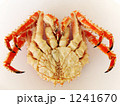 鱈場蟹裏側