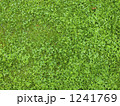 1241769