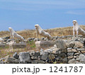 世界遺産ギリシャデロス島ライオン像