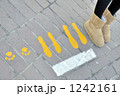 1242161