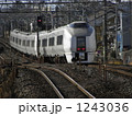 1243036